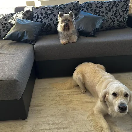 Joy Appartement Varna