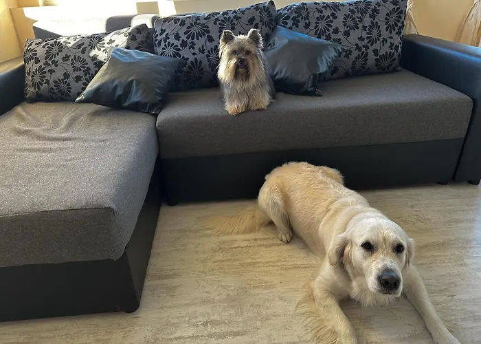 Joy Apartamento Varna